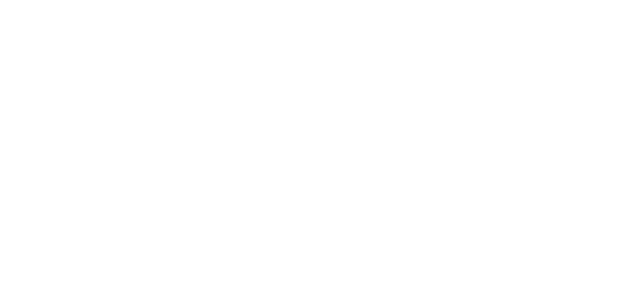 USP — United Software Platforms